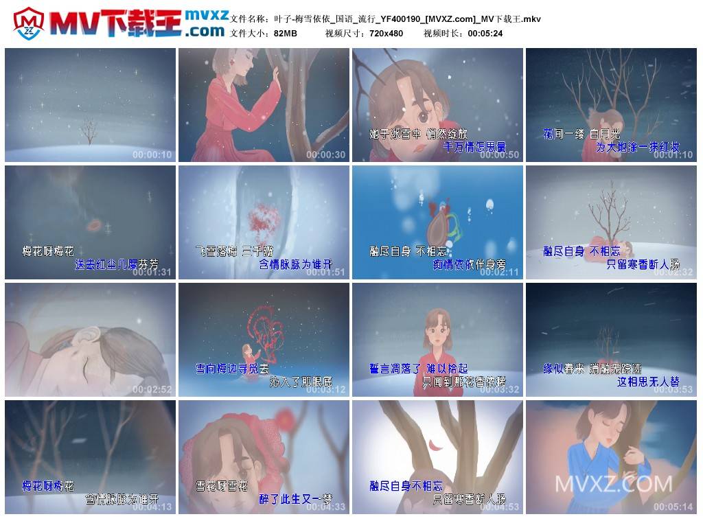 叶子-梅雪依依_国语_流行_YF400190